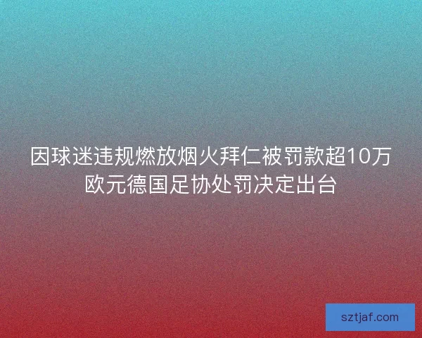 因球迷违规燃放烟火拜仁被罚款超10万欧元德国足协处罚决定出台
