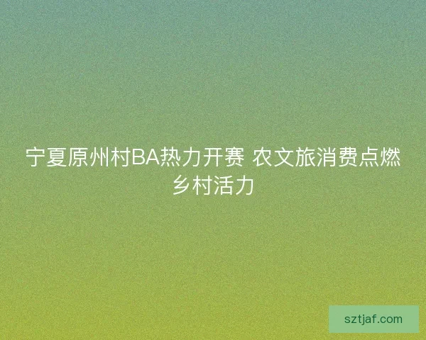 宁夏原州村BA热力开赛 农文旅消费点燃乡村活力