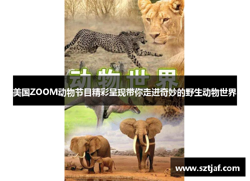 美国ZOOM动物节目精彩呈现带你走进奇妙的野生动物世界